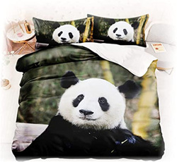Panda Themed 3D Printed 3-Piece Bedding Set, 1 Duvet Cover + 2 Pillow Covers for Kids, Multicolour